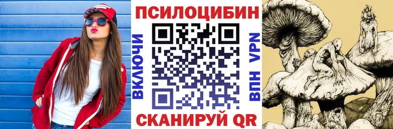shop наркотические препараты  Беслан  Псилоцибиновые грибы Psilocybine cubensis 