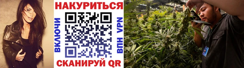 Бошки марихуана ГИДРОПОН Беслан